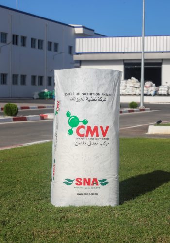 SNA CMV